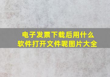 电子发票下载后用什么软件打开文件呢图片大全