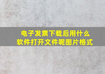 电子发票下载后用什么软件打开文件呢图片格式