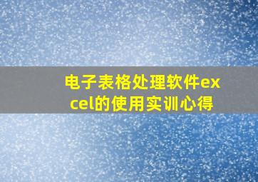 电子表格处理软件excel的使用实训心得