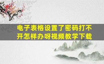 电子表格设置了密码打不开怎样办呀视频教学下载