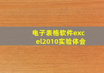 电子表格软件excel2010实验体会