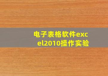 电子表格软件excel2010操作实验