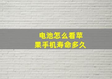 电池怎么看苹果手机寿命多久