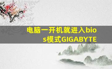 电脑一开机就进入bios模式GIGABYTE