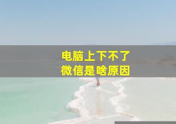 电脑上下不了微信是啥原因