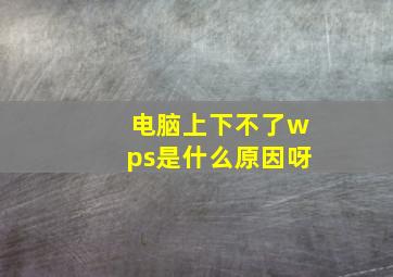 电脑上下不了wps是什么原因呀