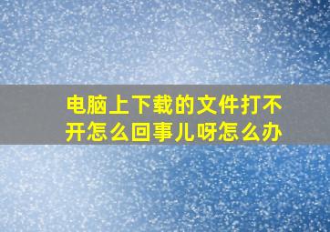 电脑上下载的文件打不开怎么回事儿呀怎么办