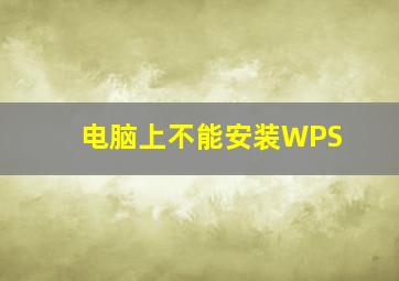 电脑上不能安装WPS