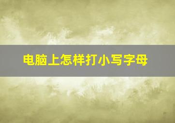 电脑上怎样打小写字母