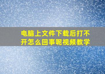 电脑上文件下载后打不开怎么回事呢视频教学