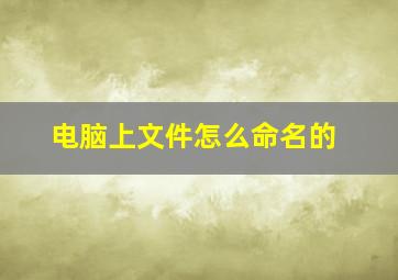 电脑上文件怎么命名的