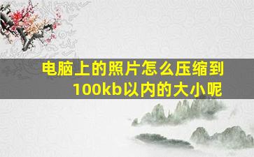 电脑上的照片怎么压缩到100kb以内的大小呢