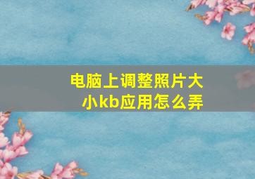 电脑上调整照片大小kb应用怎么弄