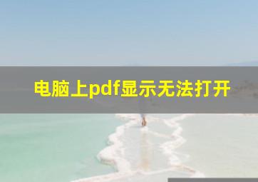 电脑上pdf显示无法打开