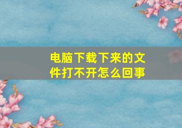 电脑下载下来的文件打不开怎么回事