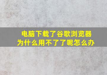 电脑下载了谷歌浏览器为什么用不了了呢怎么办