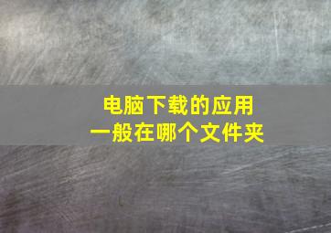 电脑下载的应用一般在哪个文件夹