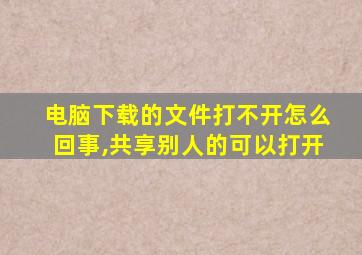 电脑下载的文件打不开怎么回事,共享别人的可以打开