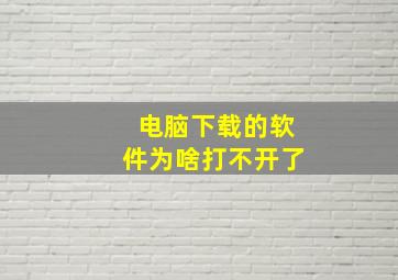 电脑下载的软件为啥打不开了