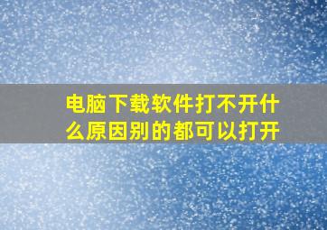 电脑下载软件打不开什么原因别的都可以打开