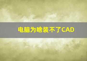 电脑为啥装不了CAD