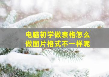 电脑初学做表格怎么做图片格式不一样呢