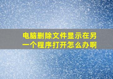 电脑删除文件显示在另一个程序打开怎么办啊