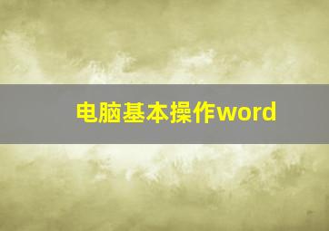 电脑基本操作word