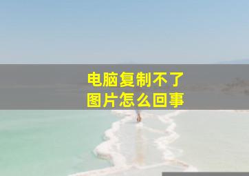 电脑复制不了图片怎么回事