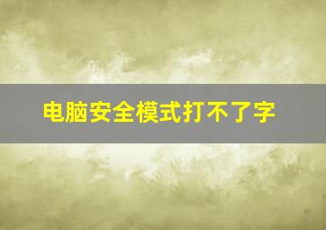 电脑安全模式打不了字