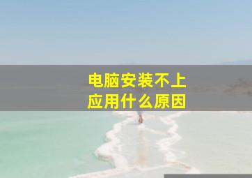 电脑安装不上应用什么原因