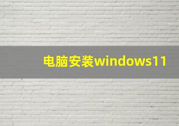 电脑安装windows11