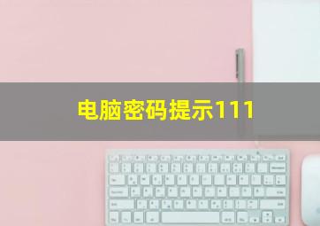 电脑密码提示111