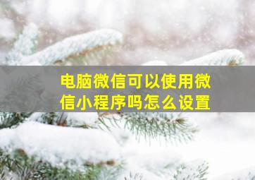 电脑微信可以使用微信小程序吗怎么设置