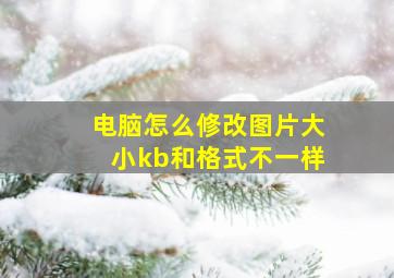 电脑怎么修改图片大小kb和格式不一样