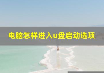 电脑怎样进入u盘启动选项