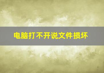 电脑打不开说文件损坏