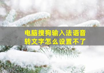 电脑搜狗输入法语音转文字怎么设置不了