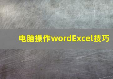 电脑操作wordExcel技巧