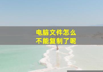 电脑文件怎么不能复制了呢