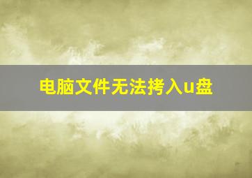 电脑文件无法拷入u盘