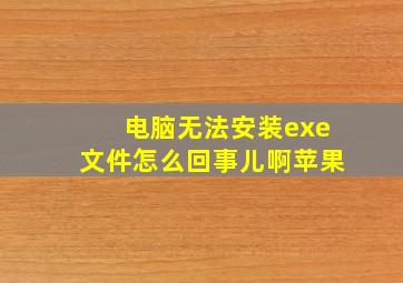 电脑无法安装exe文件怎么回事儿啊苹果