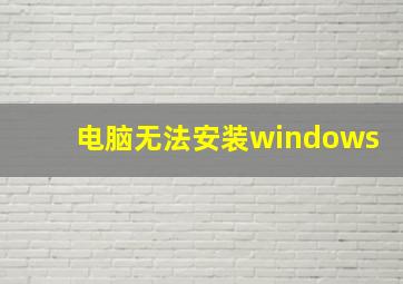 电脑无法安装windows