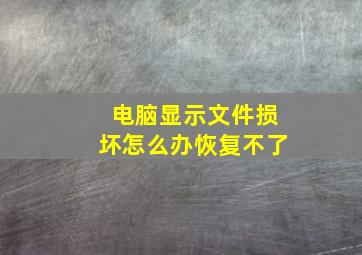 电脑显示文件损坏怎么办恢复不了