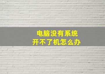 电脑没有系统开不了机怎么办