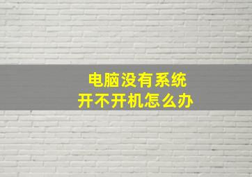 电脑没有系统开不开机怎么办