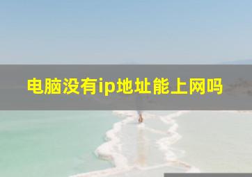 电脑没有ip地址能上网吗