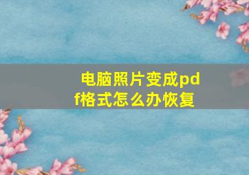 电脑照片变成pdf格式怎么办恢复