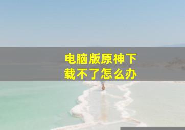 电脑版原神下载不了怎么办