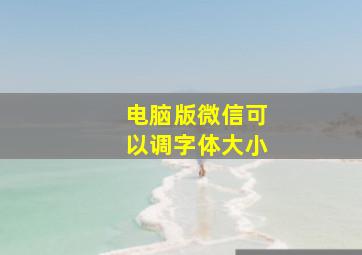 电脑版微信可以调字体大小